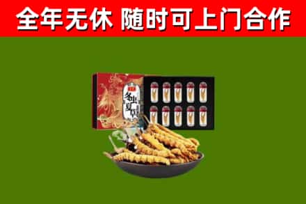 乐亭县回收冬虫夏草价格